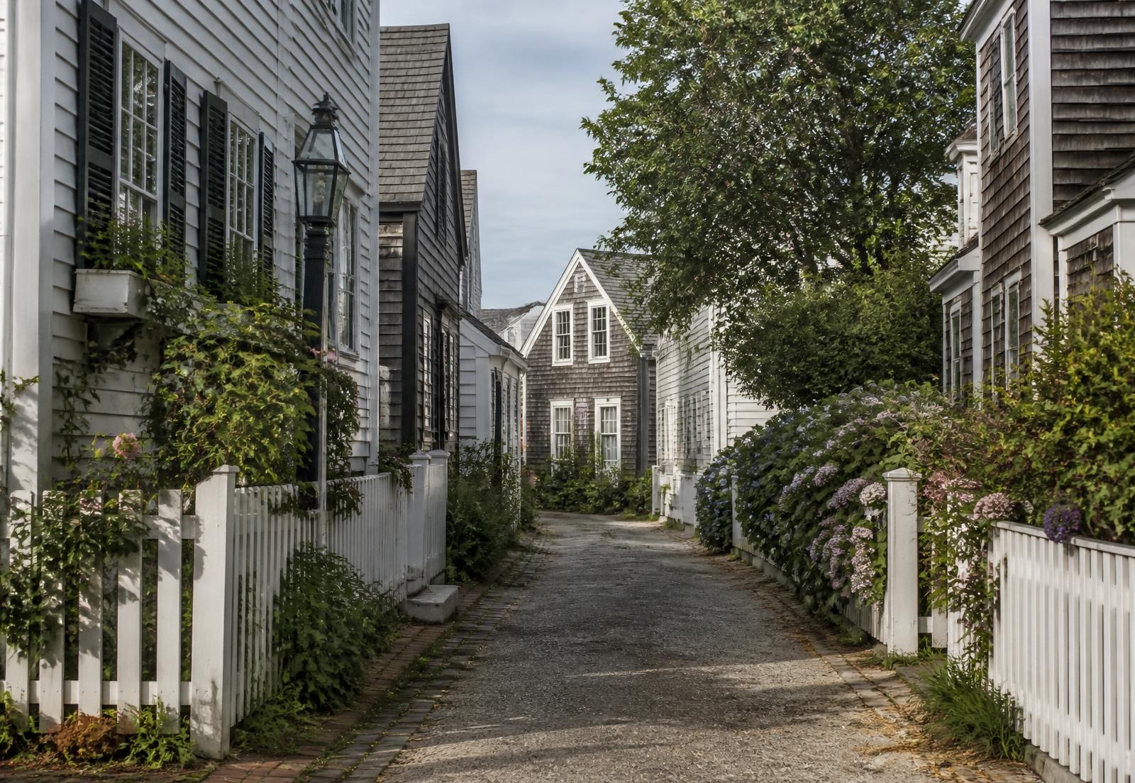 Narrow lane of clapboard and shingled houses with white picket fences and hydrangeas